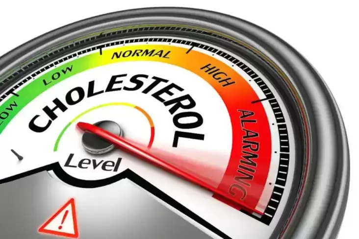 5 Penyakit yang dimaksud dimaksud Sering Kambuh setelahnya Lebaran, Waspada Kolesterol serta juga Hipertensi