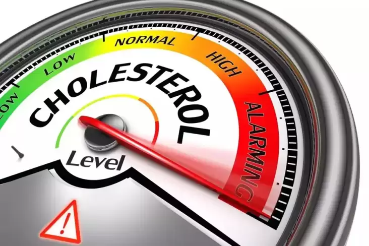 8 Cara Mencegah Kolesterol Kambuh ketika Lebaran, Penting Batasi Konsumsi Rendang