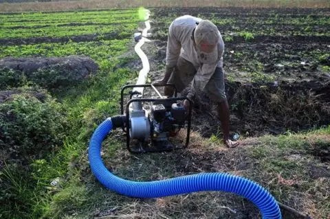 Genjot Produksi Beras, Kementan Sebar 10.000 Unit Pompa Air di Jateng